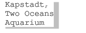 Kapstadt,    Two Oceans   Aquarium a