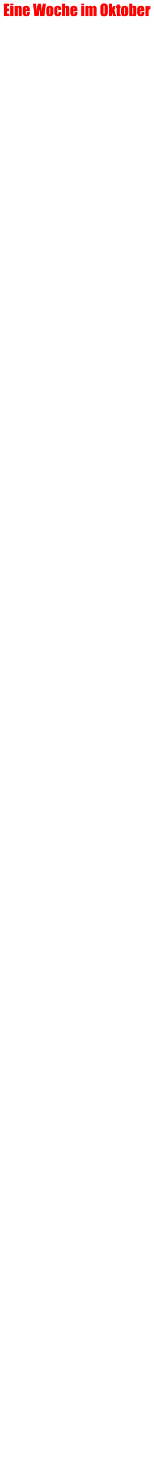 Eine Woche im Oktober     Das tgliche Massaker 1  15.10.2019 13 Polizisten in einem Hinterhalt im Bundesstaat Michoacn gettet              Das tgliche Massaker 2  16.10.2019  14 bewaffnete Mnner und ein Soldat sterben bei einer Auseinandersetzung                Sieben von zehn fhlen sich gefhrdet  17.10.2019  Geringe Wahrnehmung von Sicherheit in den Stdten                    Zwei Drogenlabore demontiert 223.10.2019 837 Personen der Streitkrfte nahmen teil, zweieinhalb Tonnen Marihuana, 20kg Kokain und 4kg Amphetamine wurden gefunden, ebenso verschiedene Waffen, darunter ein Raketenwerfer, sowie ein Drogentunnel.