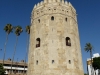P1020882