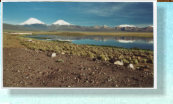 Parinacota und Pomerape (Mrz 2004)